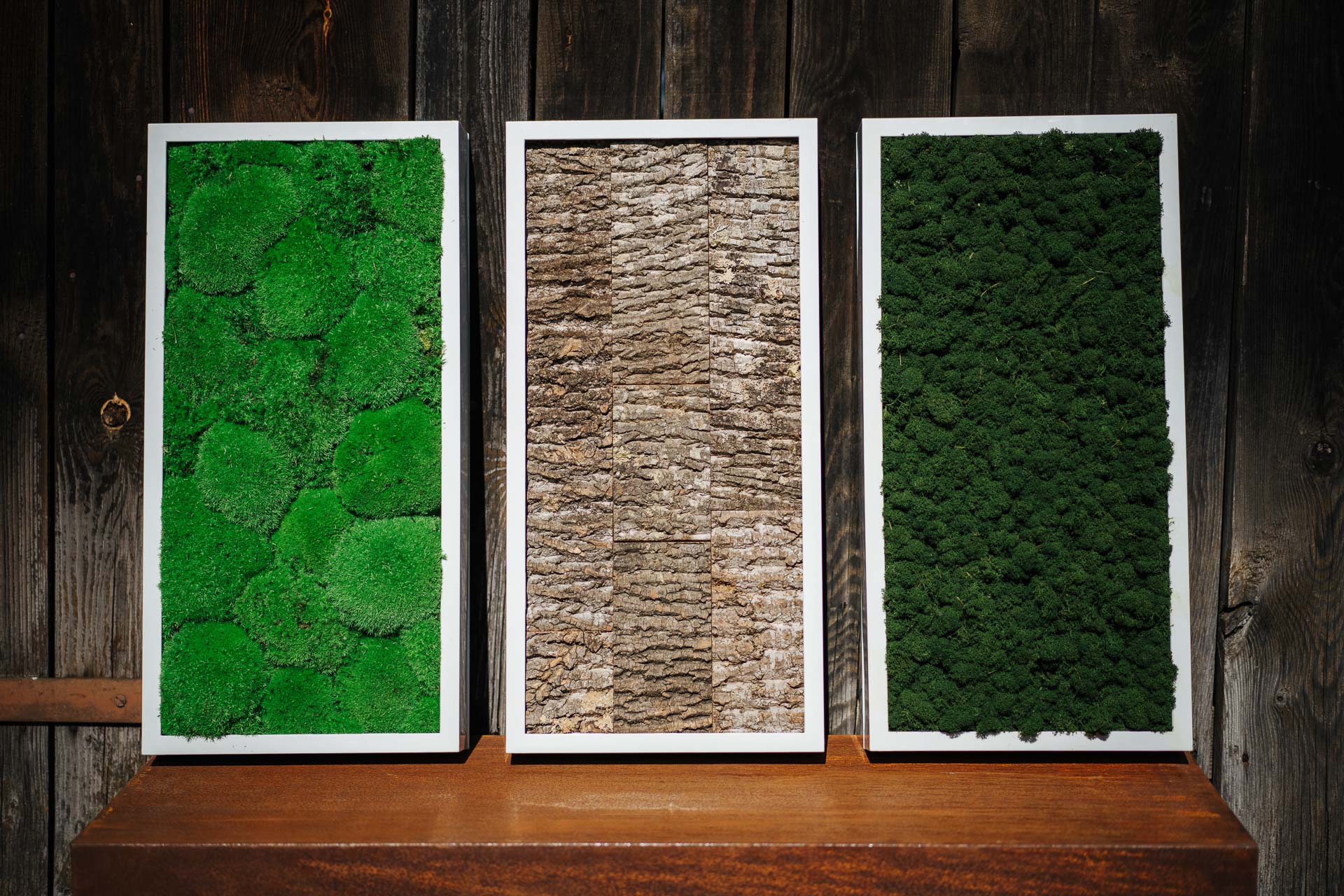 Moosbild Forest Green Islandmoos (Diverse Größen)