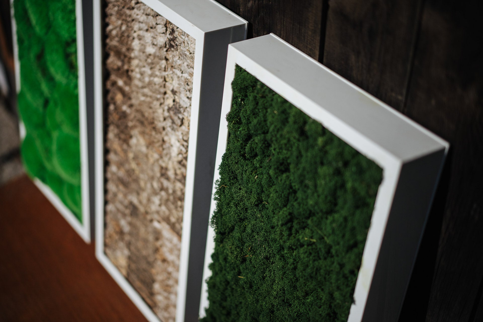 Moosbild Forest Green Islandmoos (Diverse Größen)