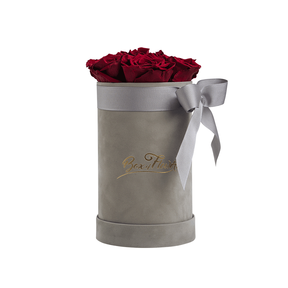Box of Flowers S Samt