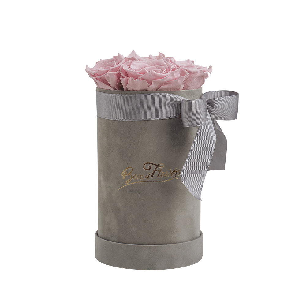 Box of Flowers S Samt